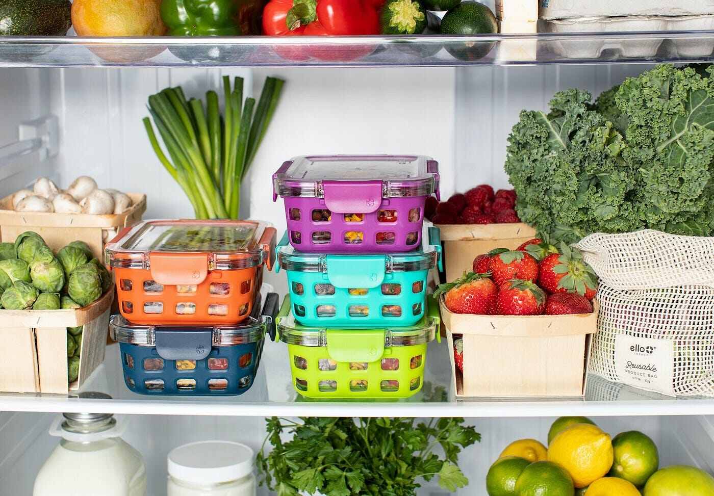 Food Safety and Storage
